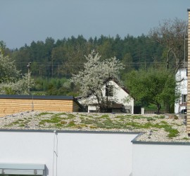 střešní zahrady