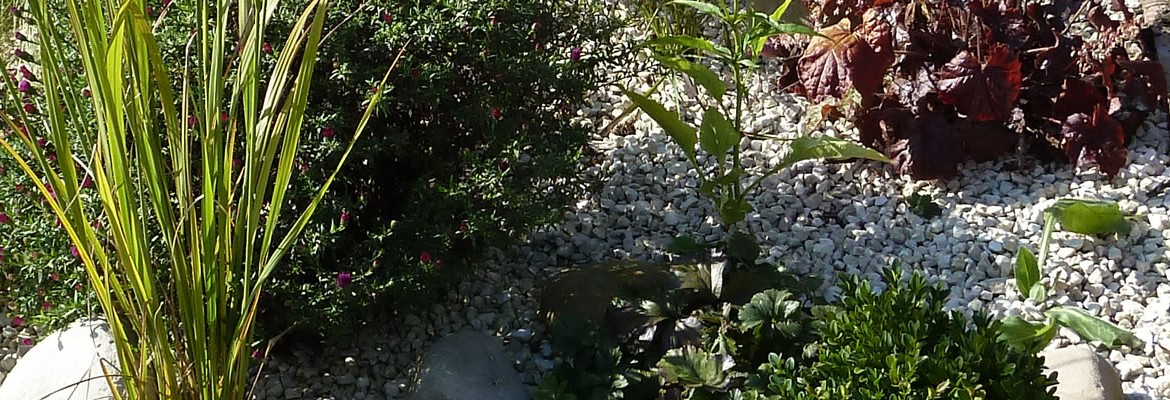 slider4_2